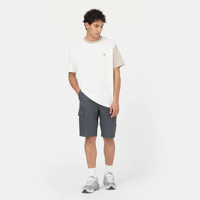 Шорты Dickies Millerville Short Charcoal Grey